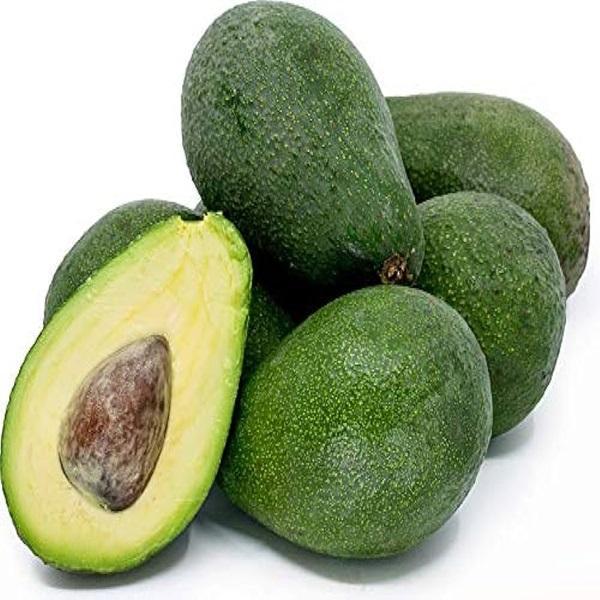 Premium Quality Organic Hass Avocados Fresh Fruit for Sale Good Quality Fresh Fuertes Best Quality Fresh Avocado
