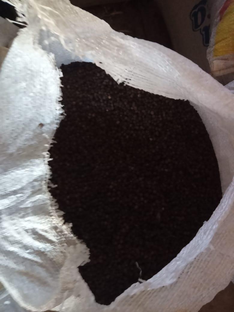 Black Pepper Image 2
