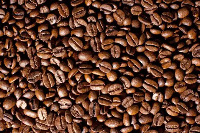 Coffee & Coffee Bean