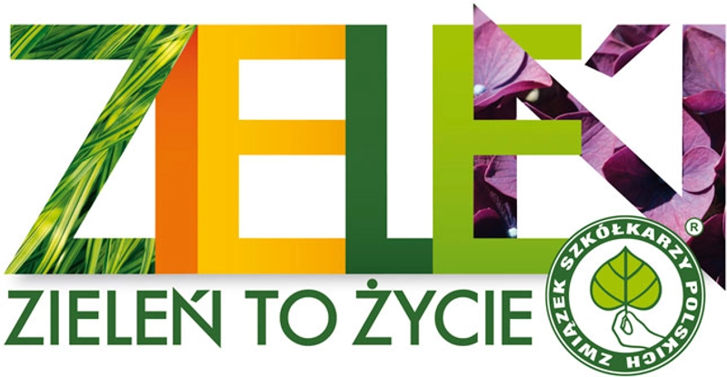 Why GREEN IS LIFE Matters for B2B
