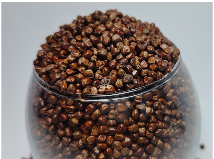 Highly Aromatic and Pleasant Taste 100% Pure Dried Black Cardamom Seeds from Reputed Wholesaler