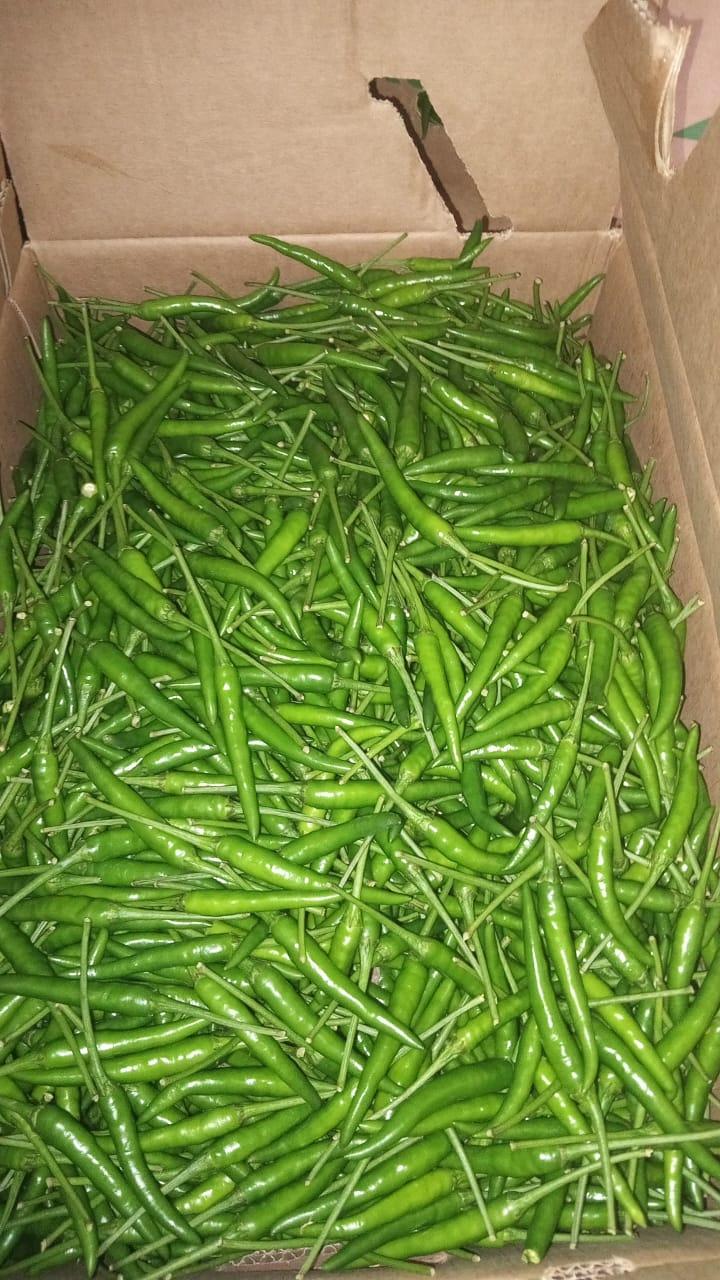habaneros thais long chilies shishitos scotch bonnets