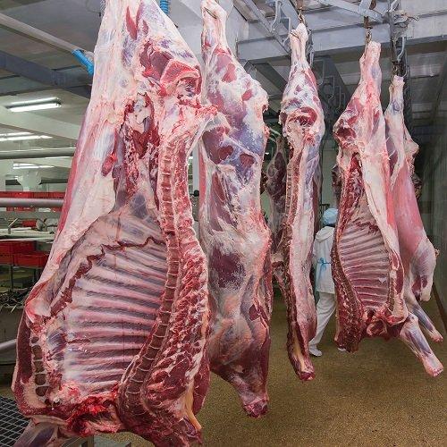 Boneless Halal Beef Frozen Cuts Organic Grass Fed Cow Meat Prime Grade Supplier Bulk Export Packed Chilled Vacuum Steak