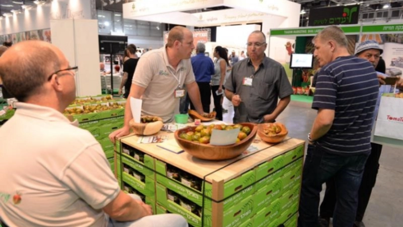 Inside AgroMashov: B2B Key Insights - 1