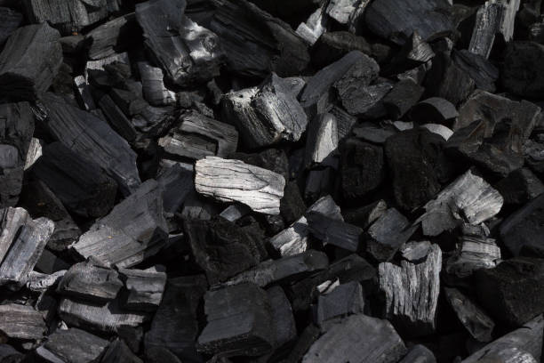 Top 9 Charcoal Suppliers in Brazil in Quarter 3 of 2025