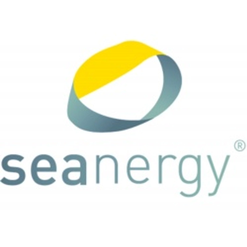 SEANERGY Spotlight: B2B Essentials