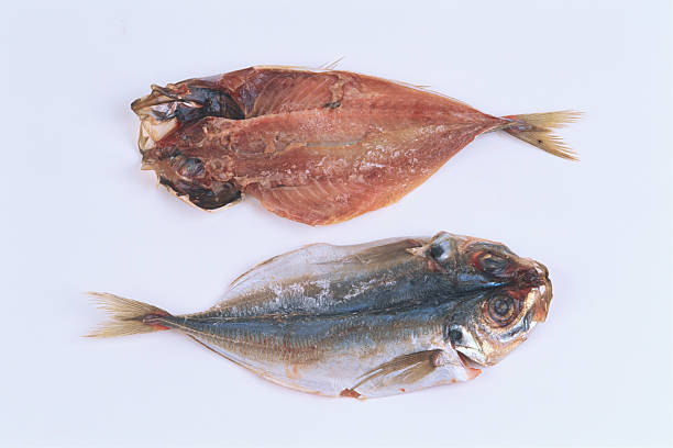 Top 10 Dried Fish Suppliers in Brazil in Quarter 3 of 2025