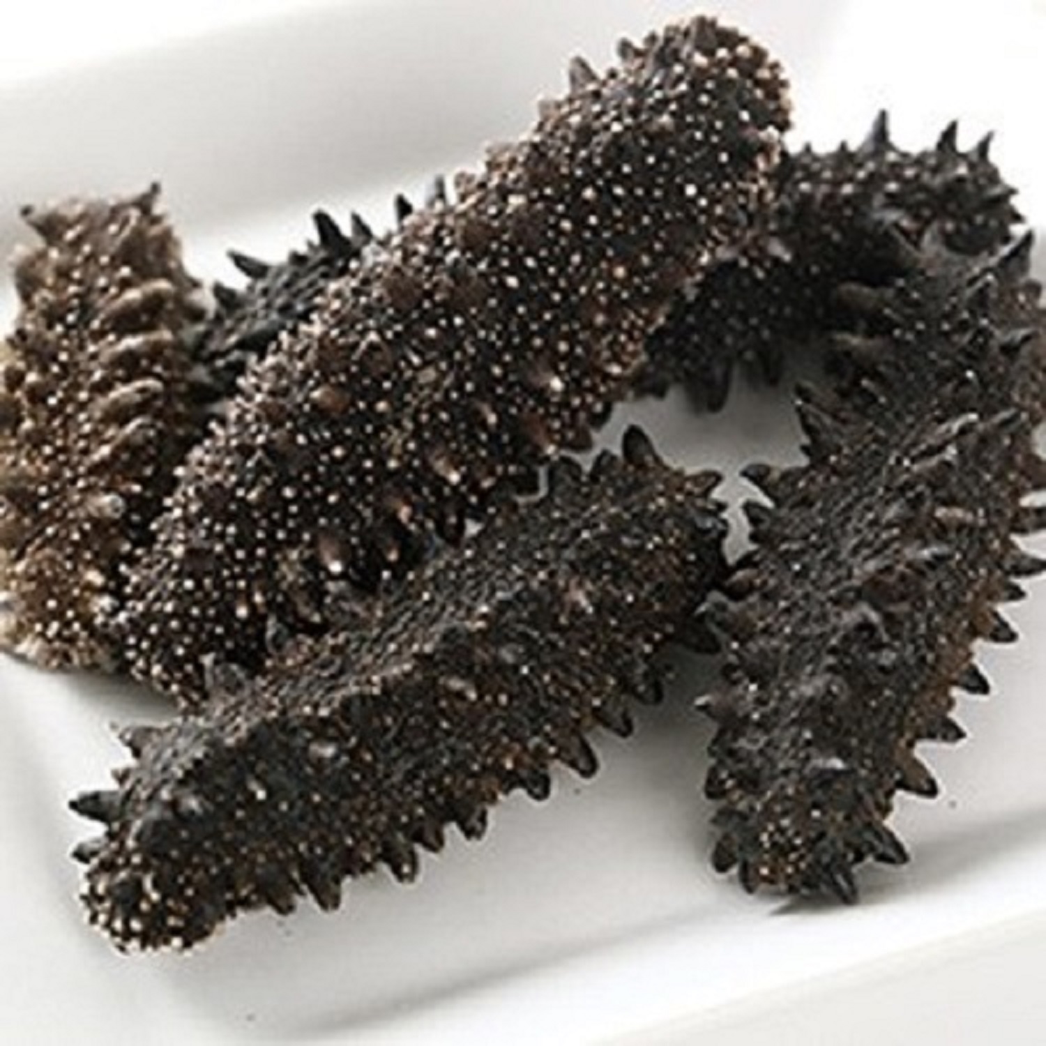 Best selling Dried Sea Cucumber for sale Sea Cucumber Dry Sea Cucumber