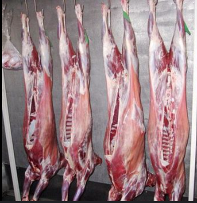 Premium Frozen Sheep Meat – Halal Slaughtered, Bone-in/Bone-less Cuts, Wholesale Export Supply