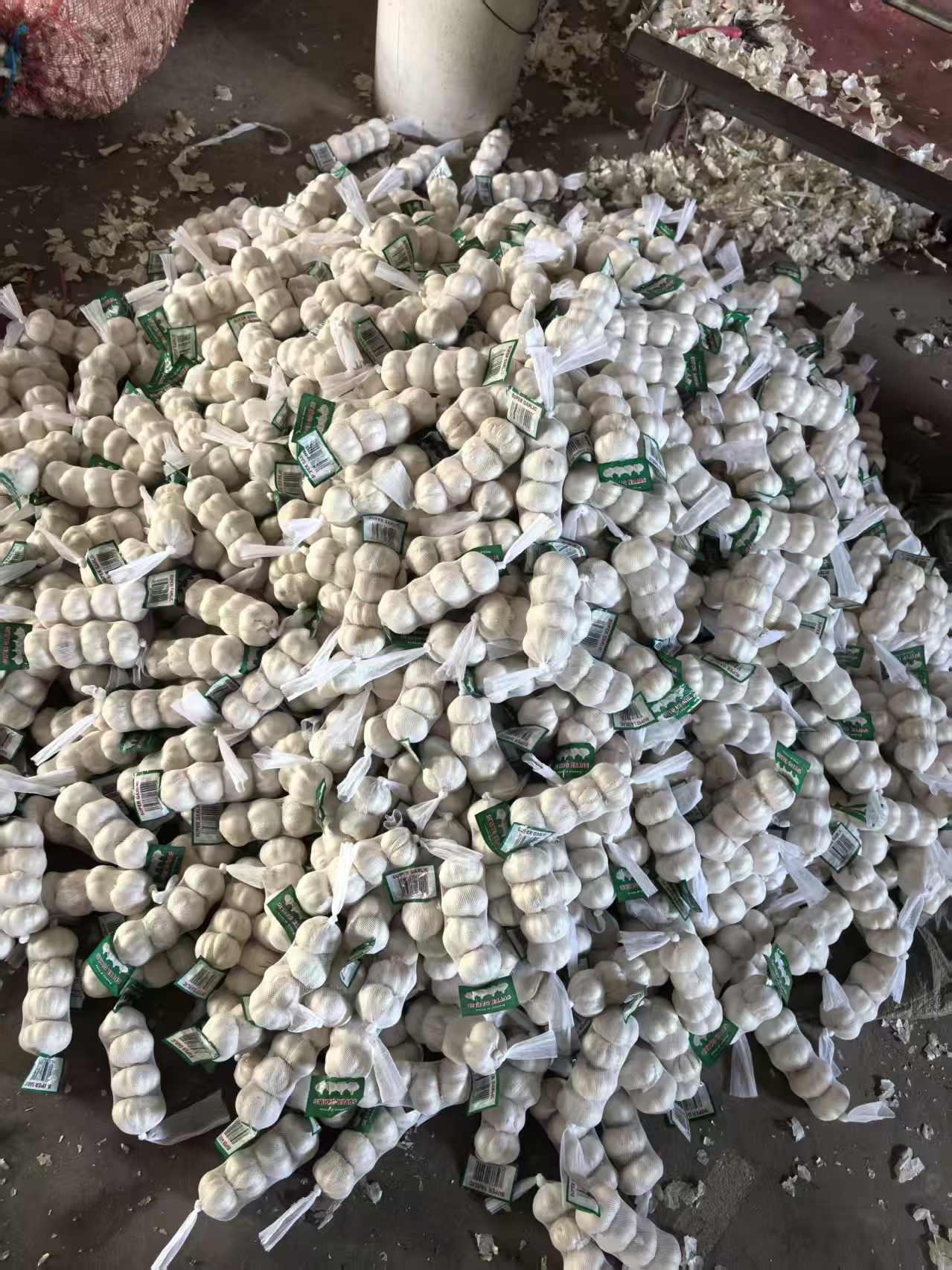 Fresh White Garlic 5.0‑5.5cm China Origin, Mesh Bag & Carton Packing, For Africa Middle East Market, Reefer Shipment