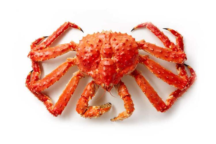 Live Red King Crabs from Romania