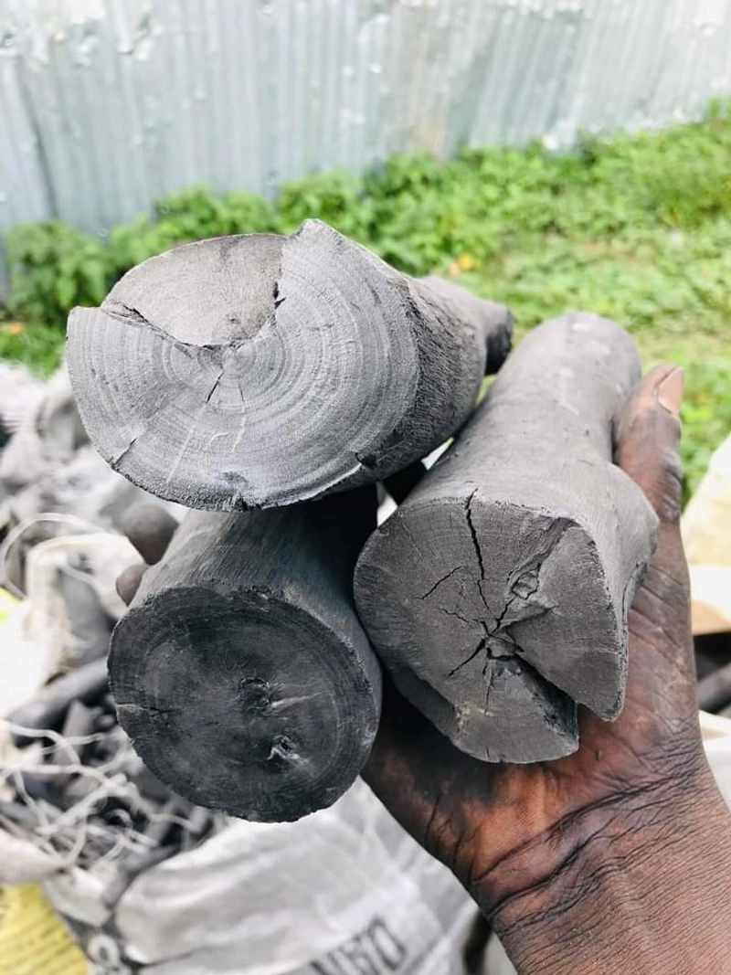 Restaurant Cooking with Charcoal