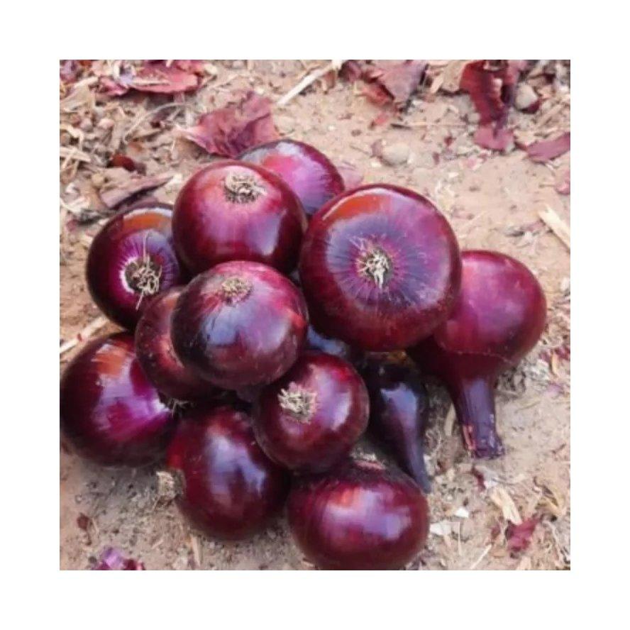United Arab Emirates Fresh Vegetables Buyer Demand: Top 6 Active Buying Requests - 1