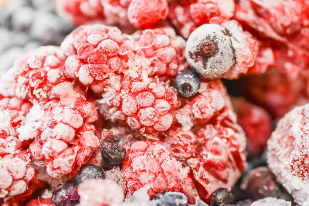 Top 3 IQF or Frozen Fruits Suppliers in Indonesia in Year 2025: Market Insights & Strategic Moves