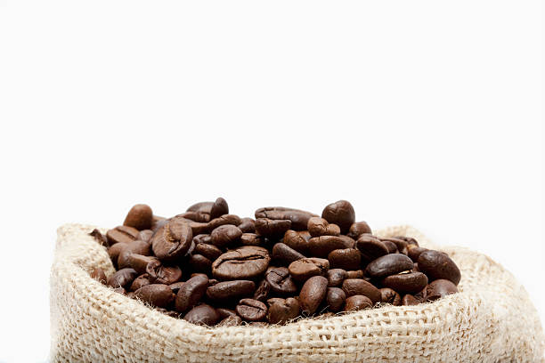 Top 3 Coffee Bean Suppliers in Vietnam in Week 06 of 2025: Export Trends, Market Insights & Verified Partners