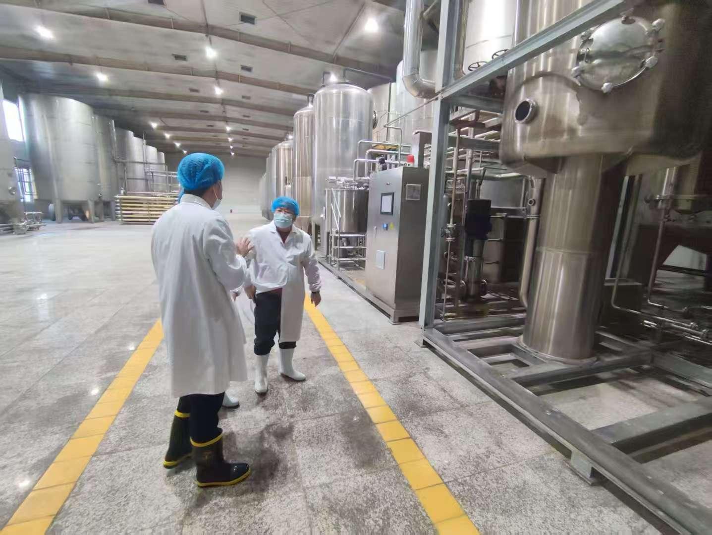 Apple Juice Production
