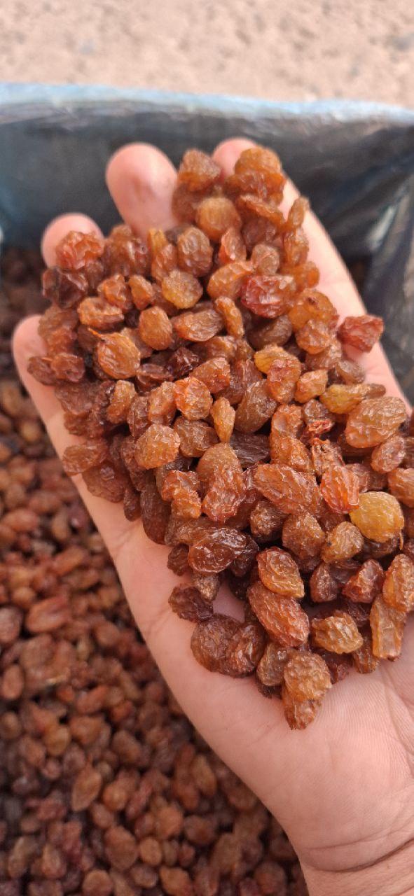 Raisins Image 3