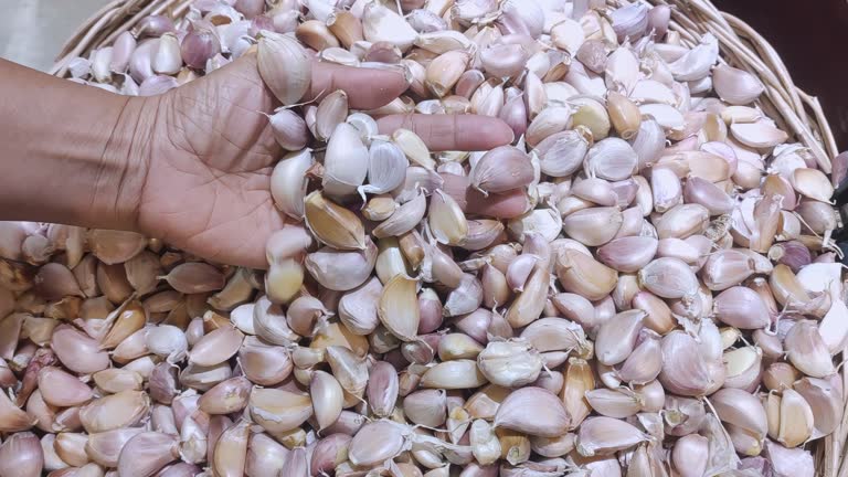 Garlic Market in Flux: Top 3 Garlic Suppliers in Italy in July 2025