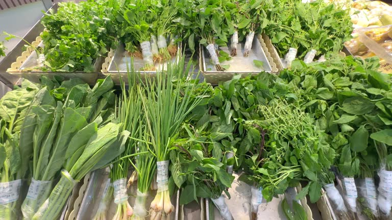 Your Expert Guide to Procuring Top-Tier Herbs: Top 9 Herbs Suppliers in Brazil in Year 2025