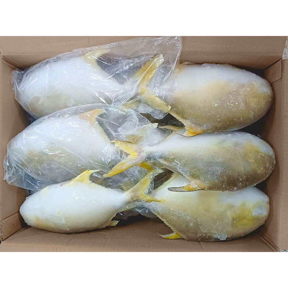 Discover the Top 4 Frozen Fish suppliers in China - 2