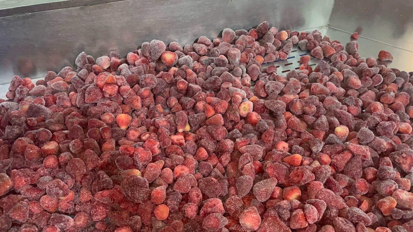Frozen Strawberries