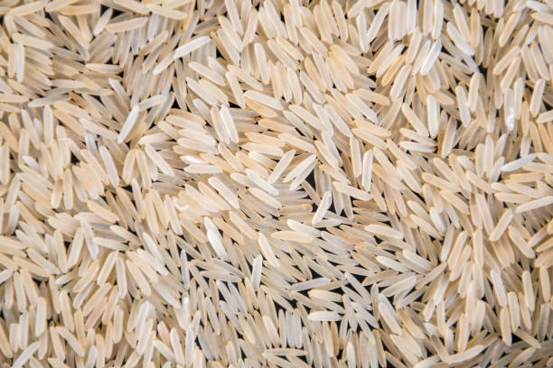 Top 9 Sella Basmati Rice Suppliers in United Arab Emirates in Quarter 3 of 2025