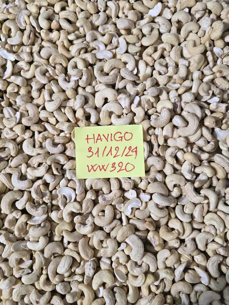 Top 8 Cashew Nuts suppliers in Vietnam: Capabilities & Buyer Fit - 6