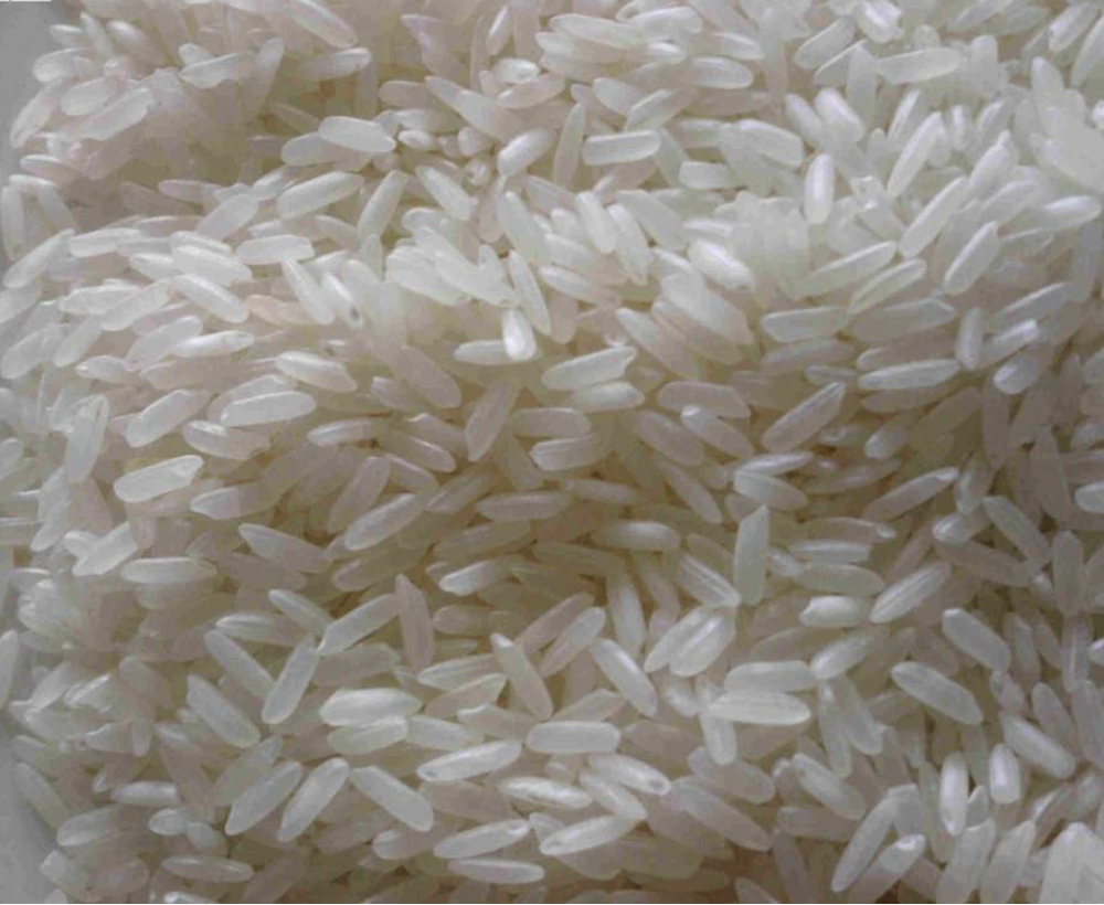 IRRI-6 Long Grain Rice Image 1