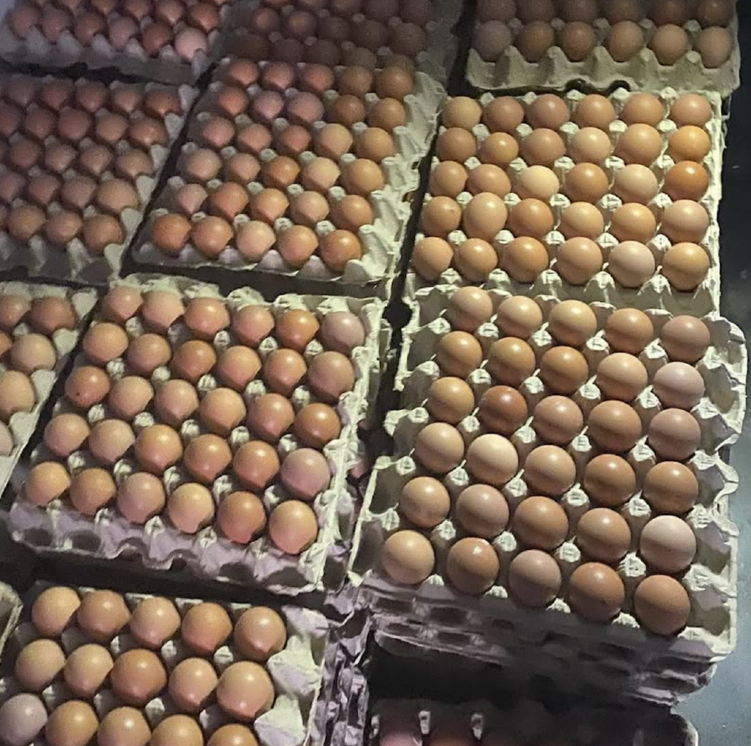 Fresh Chicken Eggs – Brown Large Size | Fresh Farms Grade AA Brown Eggs Brand (OEM Available)
