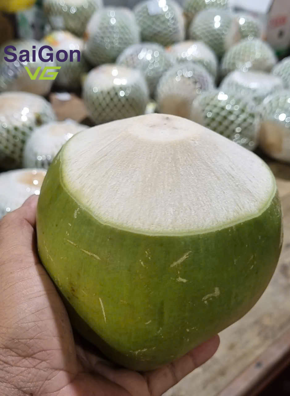 Premium Coconut Image 3