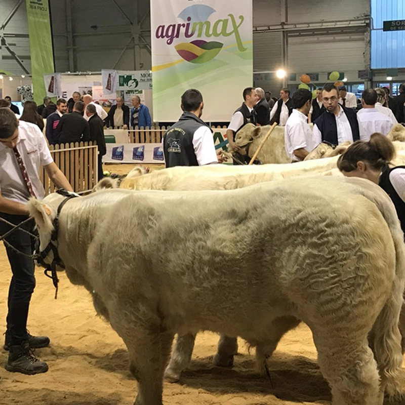Discover Agrimax Grand Est: B2B Event Guide - 3