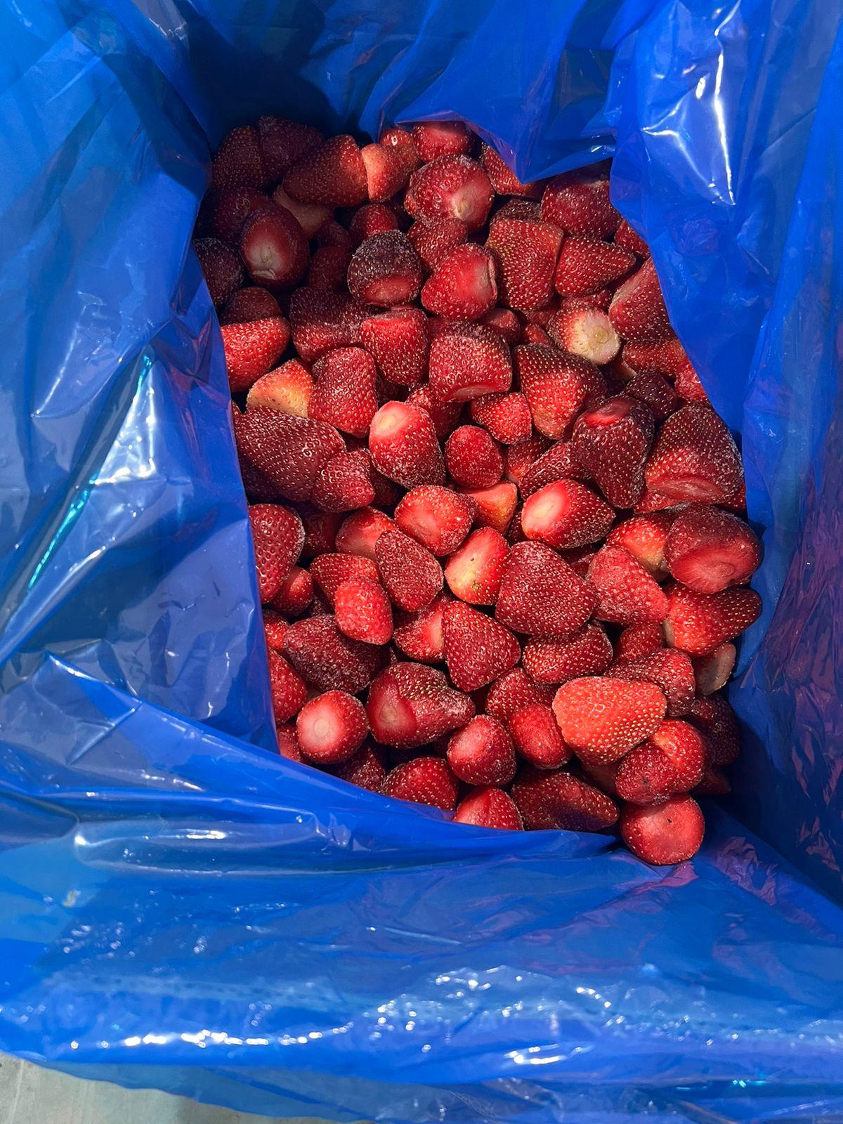 Elbardy Frozen Strawberry