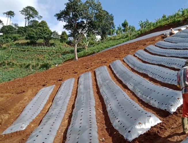 Looking for premium green coffee beans, fresh avocados, or non-GMO feed corn? Meet ASLI One Pte. Ltd. – Verified Exporter from Singapore on Freshdi!