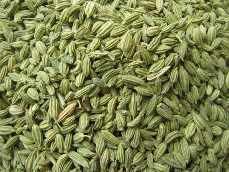 Fennel Seed