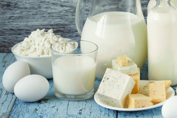 A Comprehensive Guide to Sourcing High-Quality Dairy Milk Products: Top 7 Dairy Milk Products Suppliers in Germany in Year 2025