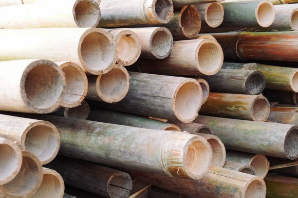 Top 4 Bamboo Products Suppliers in China in July 2025