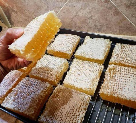 Best Price Wholesale Pure Raw Natural Honey From Bee, Best Honey