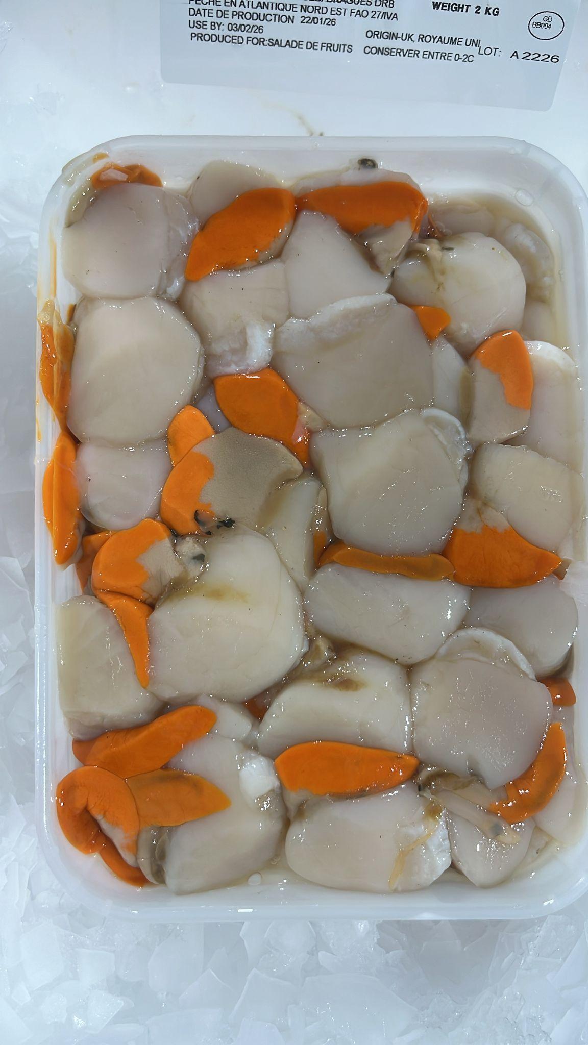 BEST SEAFOOD ROE-OFF SCALLOP MEAT(PECTINIDAE SEA FROZEN) A PREMIUM CHOICE FOR FINE DINING 10KG IQF PACKED FOR SALE