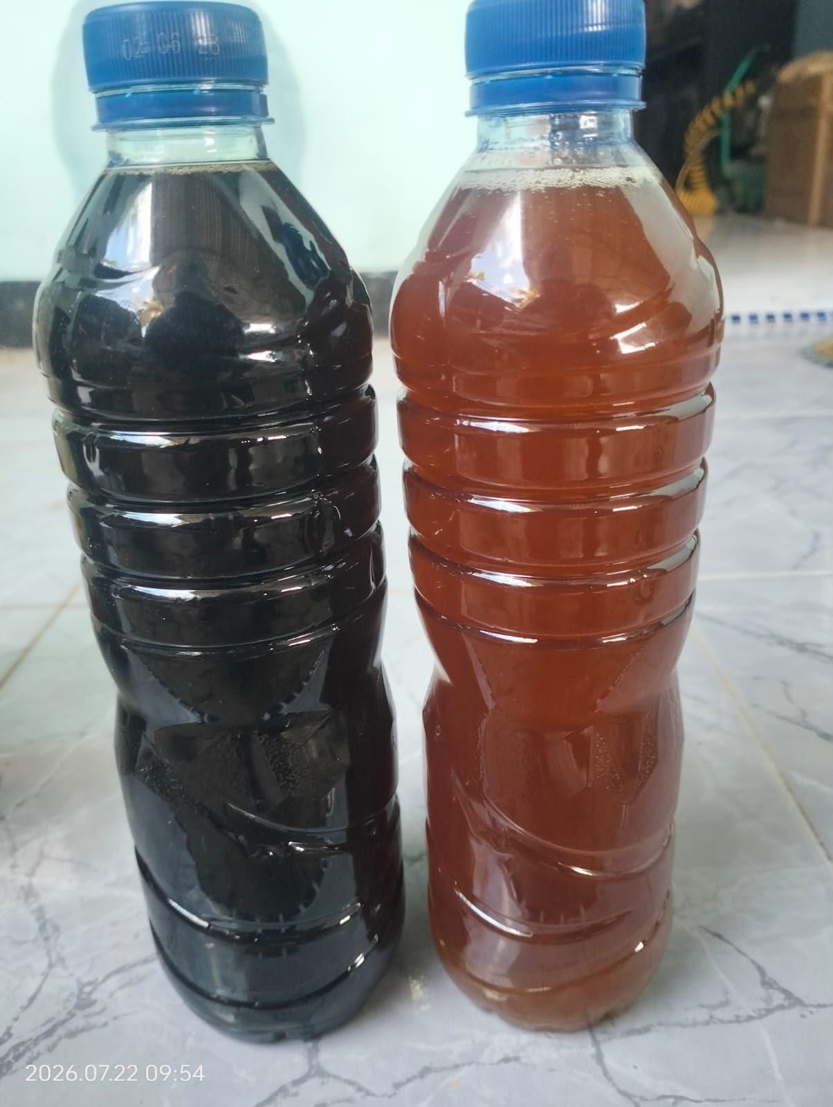 Fish Oil