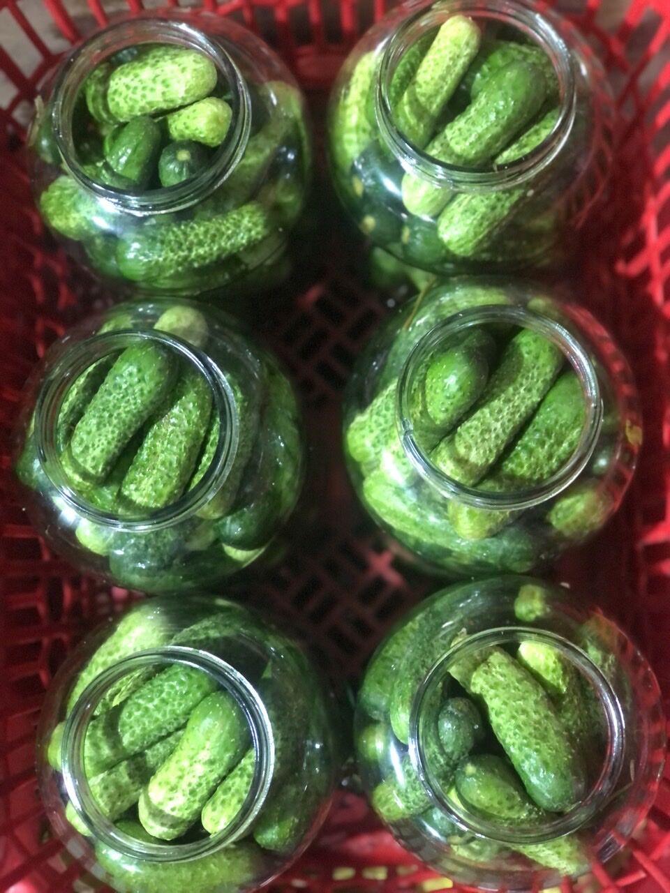 Pickled Cucumber Closeup