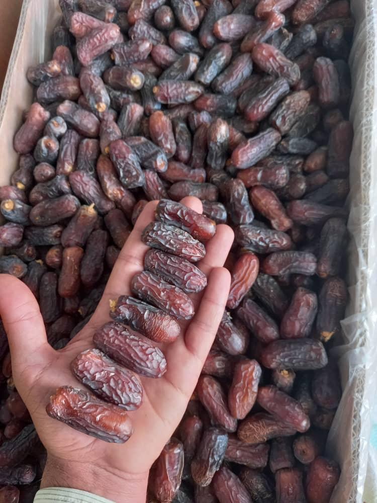 Date Paste