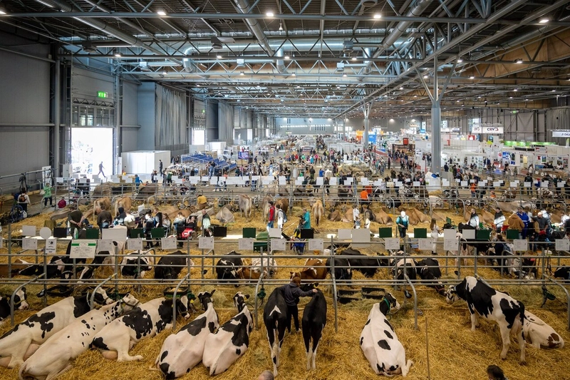 Inside ANIMAL TECH: B2B Key Insights - 1