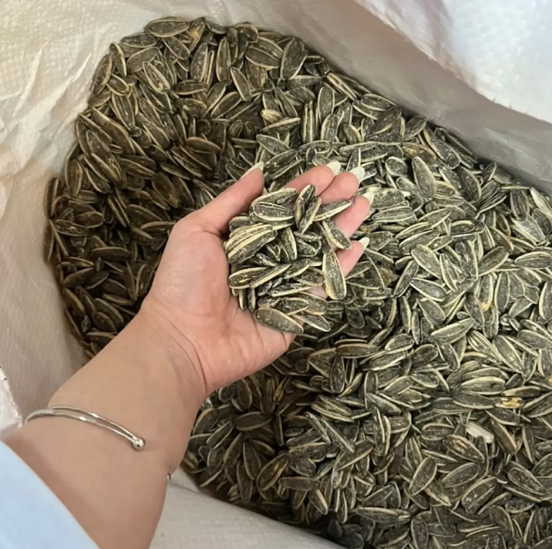 Best Agricultural Seeds – Premium Plantable Sunflower Seeds High-Quality Seed Grade 1kg,25kg Bags On Sale