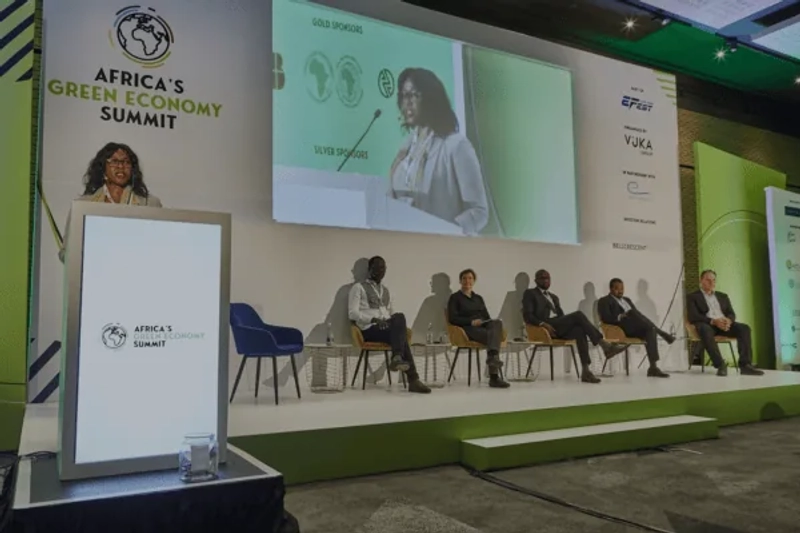 Unlock Africa's Green Economy Summit: Must-Know B2B Event - 3