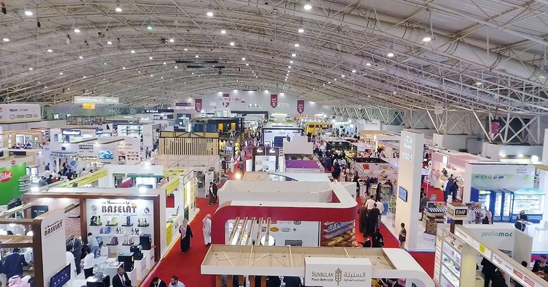HORECA Spotlight: B2B Essentials - 3