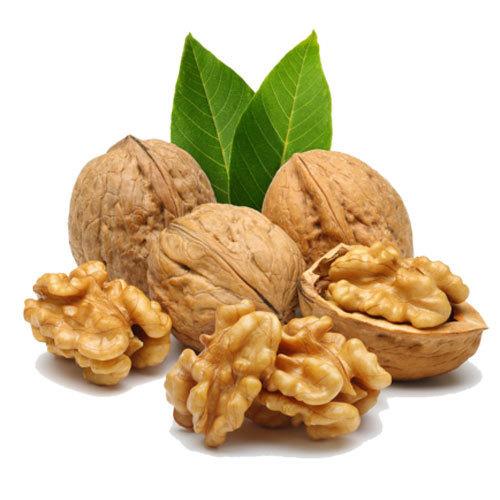 Walnut Best Price Common Walnut Nuts Top Class Walnut Kernels Dried Style Raw Waln AT Best Supplier Good Packaging Food