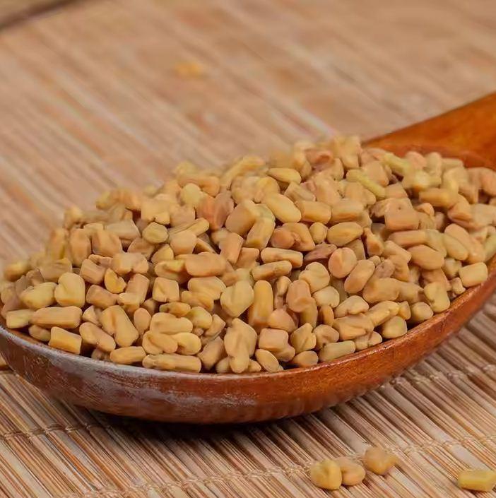 High Quality Fenugreek Seeds Wholesale Supply – Carefully Processed, Naturally Dried, and Rich in Flavor Spice Product Ideal for Cooking, Herbal Medicine, Food Manufacturing, and Nutritional Supplement Industries, Delivered in Bulk Quantities with Strict Quality Assurance, Reliable Packaging Solutions, and Stable International Export Standards for Consistent Business Supply ensuring freshness and traceability