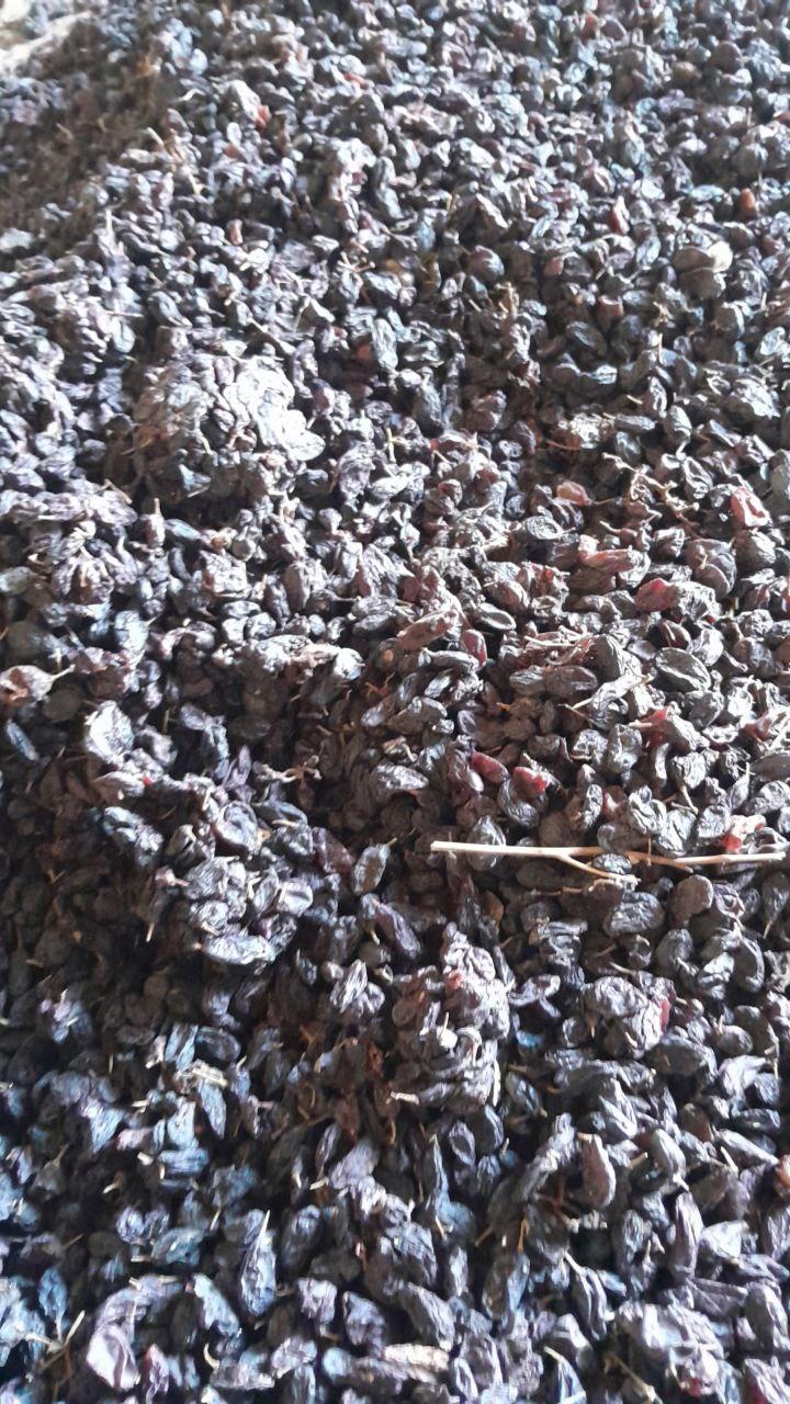High Quality Raisins