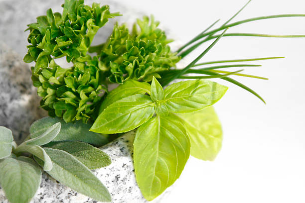 Top 9 Herbs Suppliers in Poland in Year 2025: Navigating a Rapidly Evolving Market