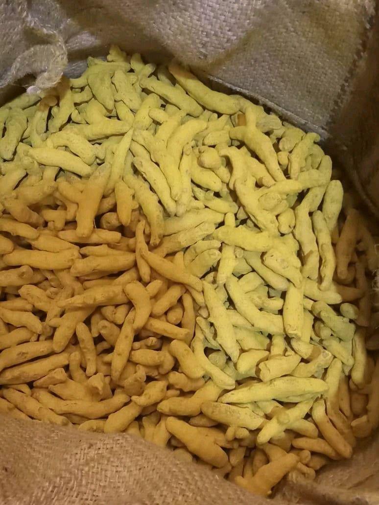Turmeric Fingers